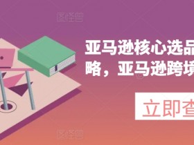 亚马逊核心选品推广新攻略,亚马逊跨境电商教程