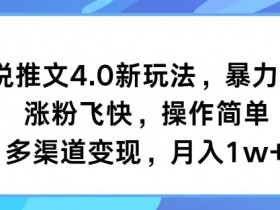 小说推文4.0新玩法,暴力起号,涨粉飞快,操作简单,多渠道变现,月入1w+