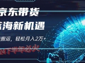 2024下半年最新蓝海项目,无脑搬运,不用剪辑,有手就会,京东图文视频,每月亲测2W+