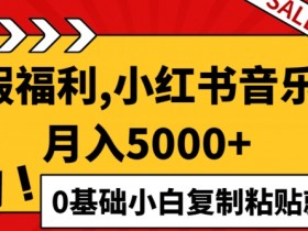 小红书音乐号月入5000+,0基础小白复制粘贴就能赚钱