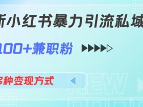 最新小红书暴力引流私域玩法,日引100+兼职粉,多种变现方式