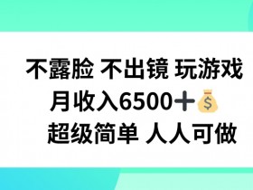 不露脸 不出境 玩游戏,月入6500 超级简单 人人可做【揭秘】