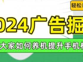 2024广告掘金,教大家如何养机提升手机权重,轻松日入100+【揭秘】