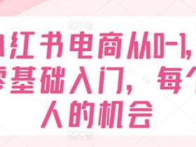 小红书电商从0-1,零基础入门,每个人的机会
