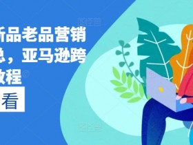 亚马逊新品老品营销打法汇总,亚马逊跨境电商教程