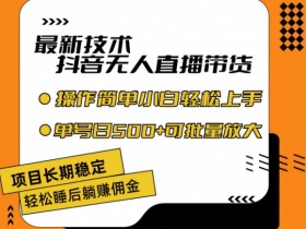 最新技术抖音无人直播带货,不违规不封号,长期稳定,小白轻松上手单号日入500+【揭秘】