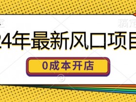 24年最新风口项目,0成本就可以开一家自己的线上商城