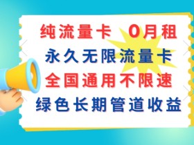 纯流量卡,0月租,永久无限流量卡,全国通用不限速,绿色长期管道收益