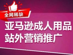 全网稀缺!亚马逊成人用品站外营销推广,教你引爆站外流量,开启爆单模式