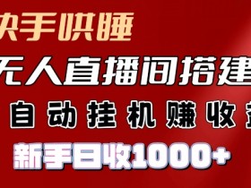 快手哄睡无人直播间搭建,纯利润项目,小白全自动挂JI日收1k