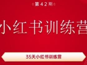 35天小红书训练营(42期),用好小红书,做你喜欢又擅长的事,涨粉又赚钱