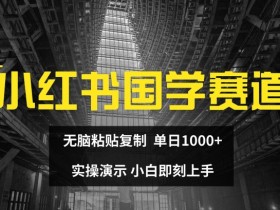 小红书国学赛道,无脑粘贴复制,单日1K,实操演示,小白即刻上手【揭秘】