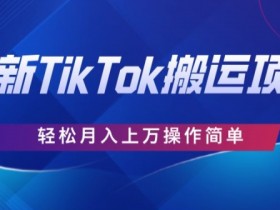 史上最简单,搬运TikTok历史视频,去重后轻松月赚万元