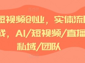 AI短视频创业,实体流量实战,AI/短视频/直播/私域/团队