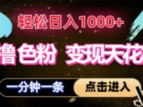 狂撸S粉变现天花板,轻松日入1000+,一单200+