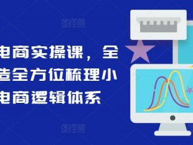 小红书电商实操课,全体系打造全方位梳理小红书电商逻辑体系