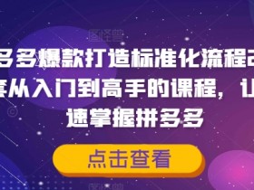 拼多多爆款打造标准化流程2.0,一套从入门到高手的课程,让你快速掌握拼多多