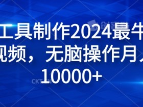 纯AI工具制作2024最牛原创视频,无脑操作月入1W+【揭秘】