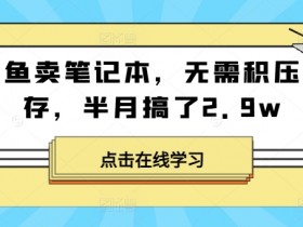 闲鱼卖笔记本，无需积压库存，半月搞了2.9w