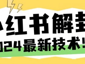 2024最新小红书账号封禁解封方法,无限释放手机号【揭秘】