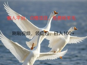 0撸懒人平台，全新手机广告不推广单机有100+，刷刷就有跟捡钱一样， 简单无脑稳定可批量