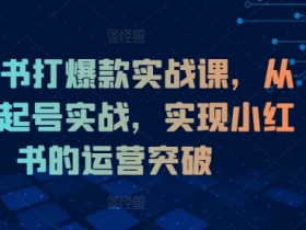 小红书打爆款实战课,从0到1起号实战,实现小红书的运营突破