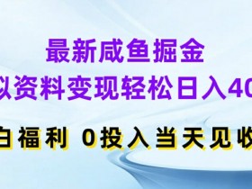 最新咸鱼掘金,虚拟资料变现,轻松日入400+,小白福利,0投入当天见收益【揭秘】