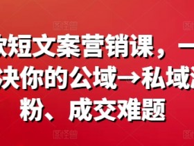 爆款短文案营销课,一次解决你的公域→私域涨粉、成交难题
