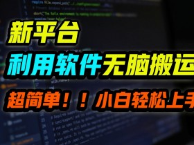 新平台用软件无脑搬运,月赚1w+,小白也能轻松上手