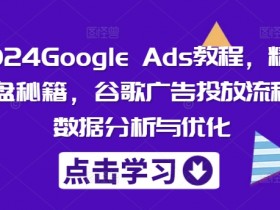 2024Google Ads教程,精准询盘秘籍,谷歌广告投放流程,数据分析与优化