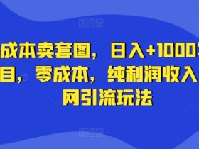 零成本卖套图,日入+1000写真项目,零成本,纯利润收入,全网引流玩法