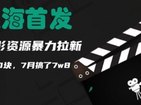 蓝海首发,靠电影资源暴力拉新,一单10块,7月搞了7w8