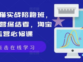淘宝天猫实战陪跑班,店铺运营终结者,淘宝运营必修课