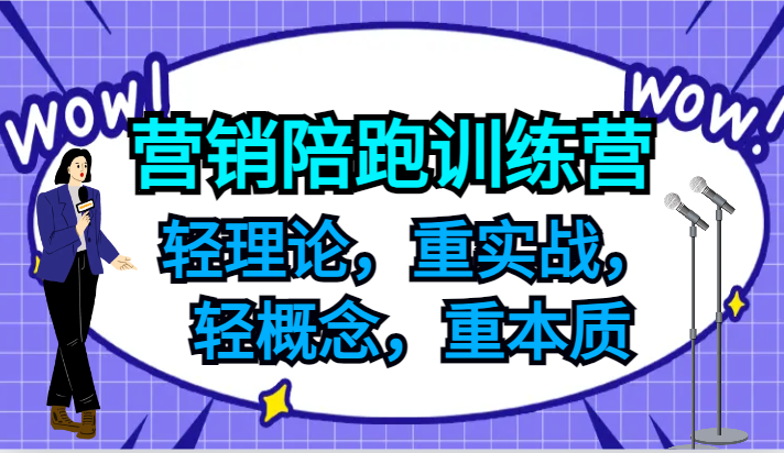 营销推广陪跑夏令营,轻基础理论,重实战演练,轻定义,重实质,适宜中小企业和初创企业的老总
