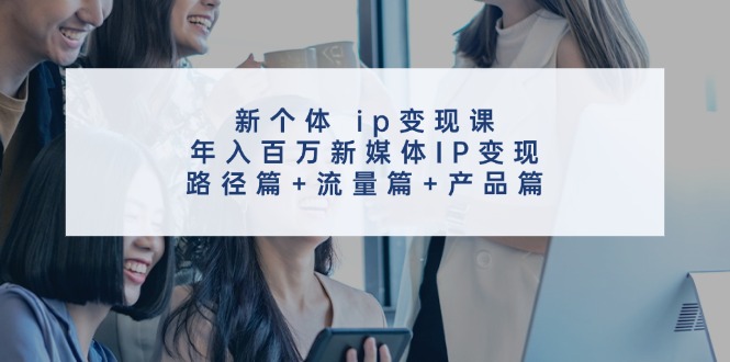 新个人ip转现课,年收入百万互联网媒体IP转现,途径篇 总流量篇 商品篇