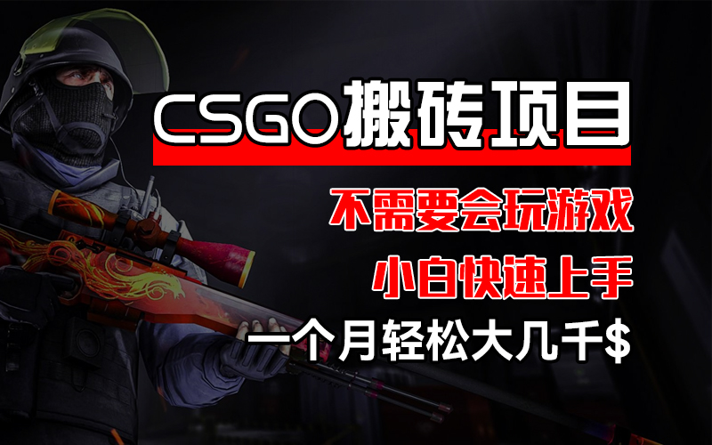 (12332期)CSGO 装备搬砖项目,操作简单,不需要会玩游戏,小白也能快速上手,一…