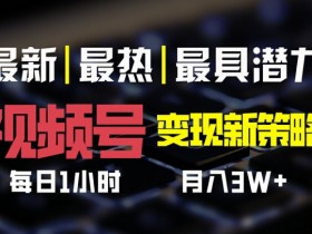 视频号变现新策略，每日一小时月入过万