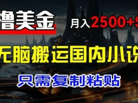 最新撸美金项目:搬运国内小说爽文,只需复制粘贴,月入2k+美金
