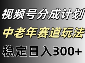 视频号收益稳定日入300+,月入一w+