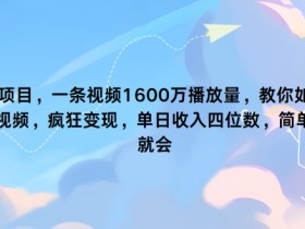 最新项目，一条视频1600万播放量，教你如何利用 ai视频，疯狂变现，简单一学就会