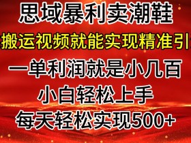 私域卖潮鞋暴利玩法,小白轻松上手,日赚几张,轻轻松松,仅靠搬运视频就能精准引流