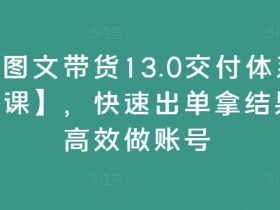 抖音图文带货13.0交付体系课【新课】,快速出单拿结果,高效做账号
