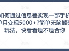 如何通过信息差实现一部手机单月变现5000+?简单无脑搬砖玩法,快看看适不适合你【揭秘】
