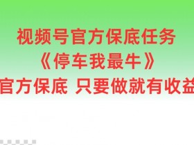 视频号官方保底任务,停车我最牛,官方保底只要做就有收益【揭秘】