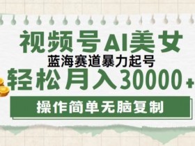 视频号创作者计划,下半年全新赛道,无需剪辑,AI生成,稳过原创,小白落地实操教学