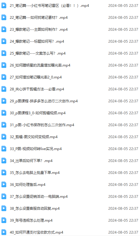 图片[3]-2024小红书电商实战课：全体系打造 全方位梳理 小红书电商逻辑体系 (42节)-云上仙人资源网