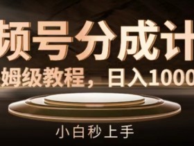 视频号分成计划保姆级教程,日入1K,小白秒上手【揭秘】
