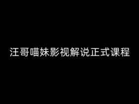 汪哥影视解说正式课程：剪映/PR教学/视解说剪辑5大黄金法则/全流程剪辑7把利器等等