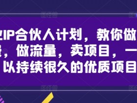 创业IP合伙人计划，教你做知识付费，做流量，卖项目，一个可以持续很久的优质项目