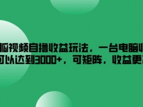 搜狐视频自撸收益玩法,一台电脑收益可以达到3k+,可矩阵,收益更高【揭秘】